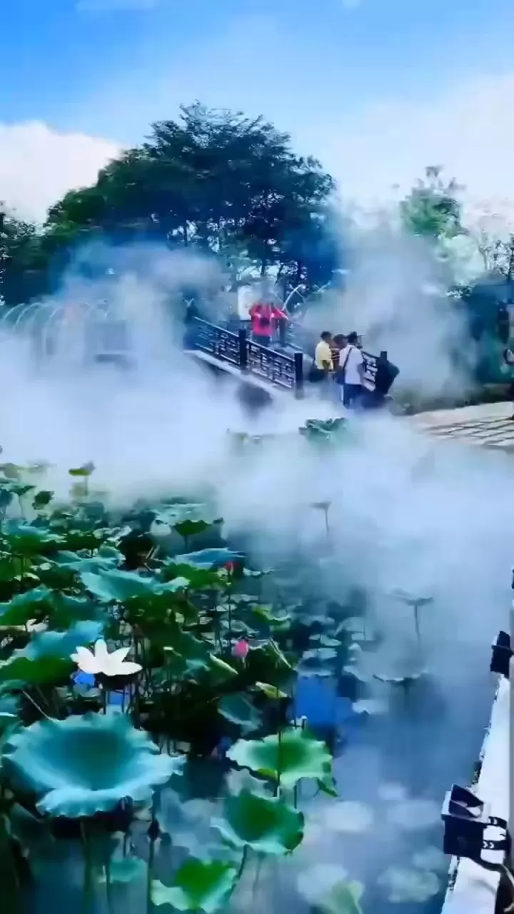 荷塘雾森